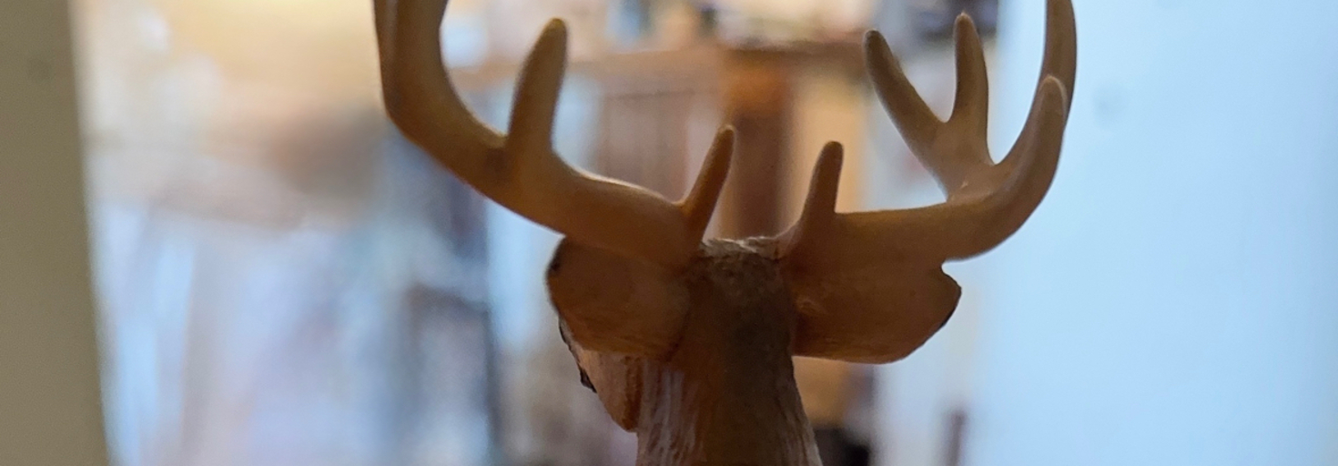 レビュアーのカバー画像