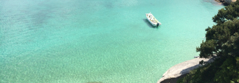 レビュアーのカバー画像