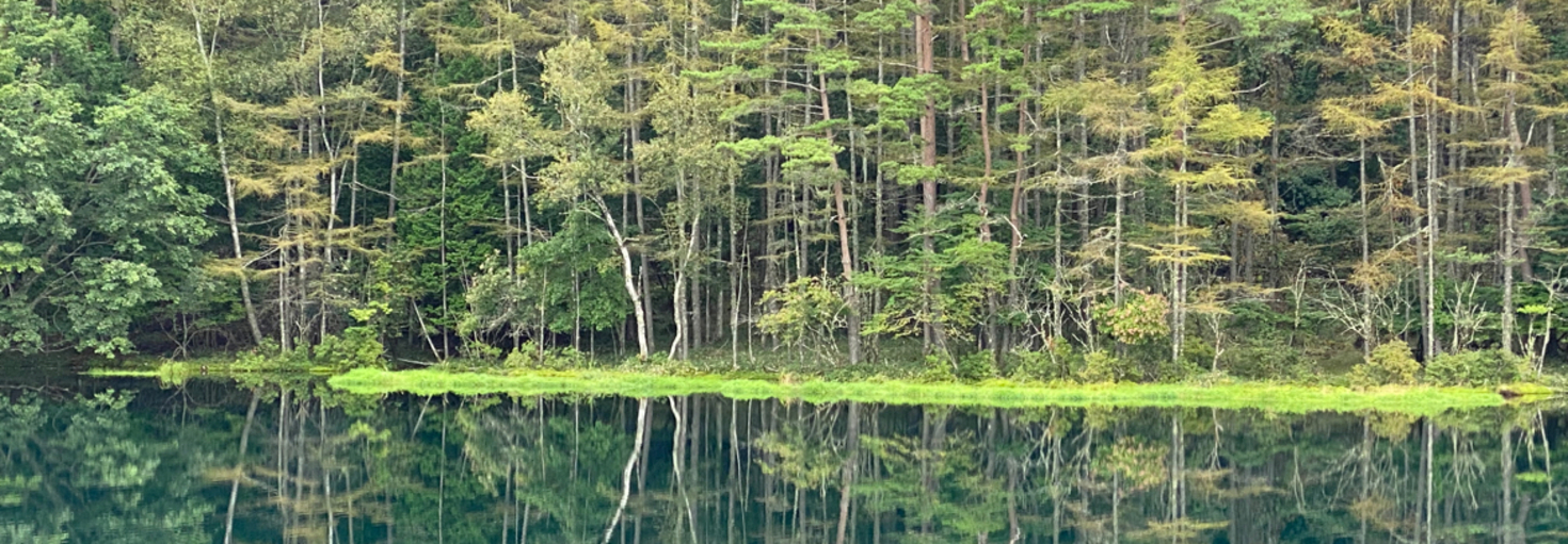 レビュアーのカバー画像