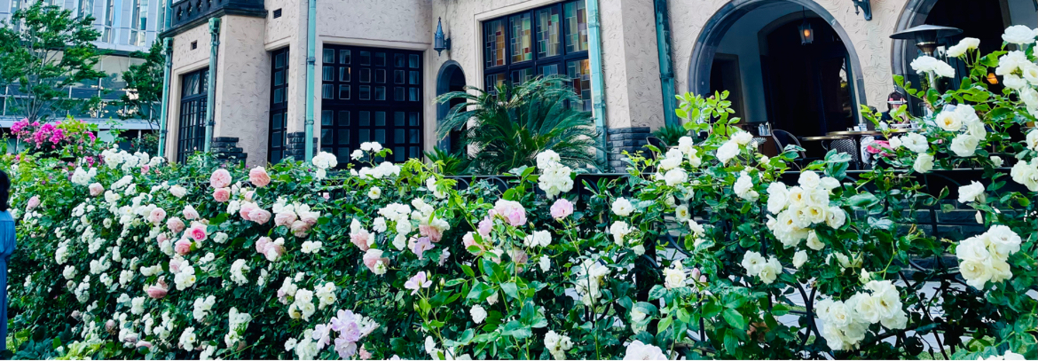 レビュアーのカバー画像