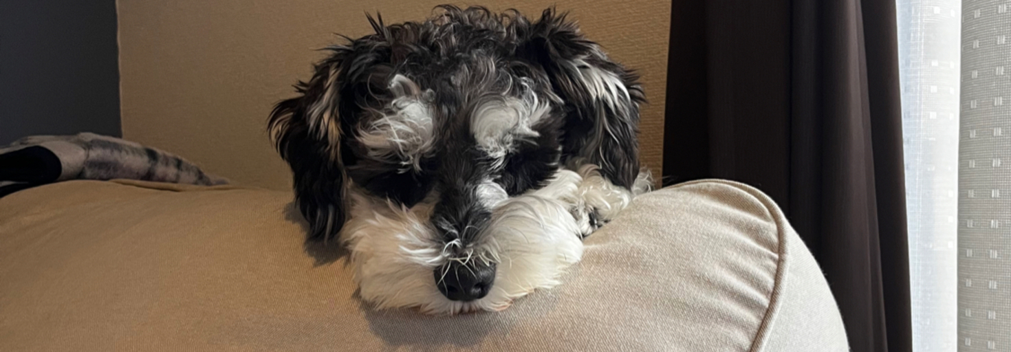 レビュアーのカバー画像