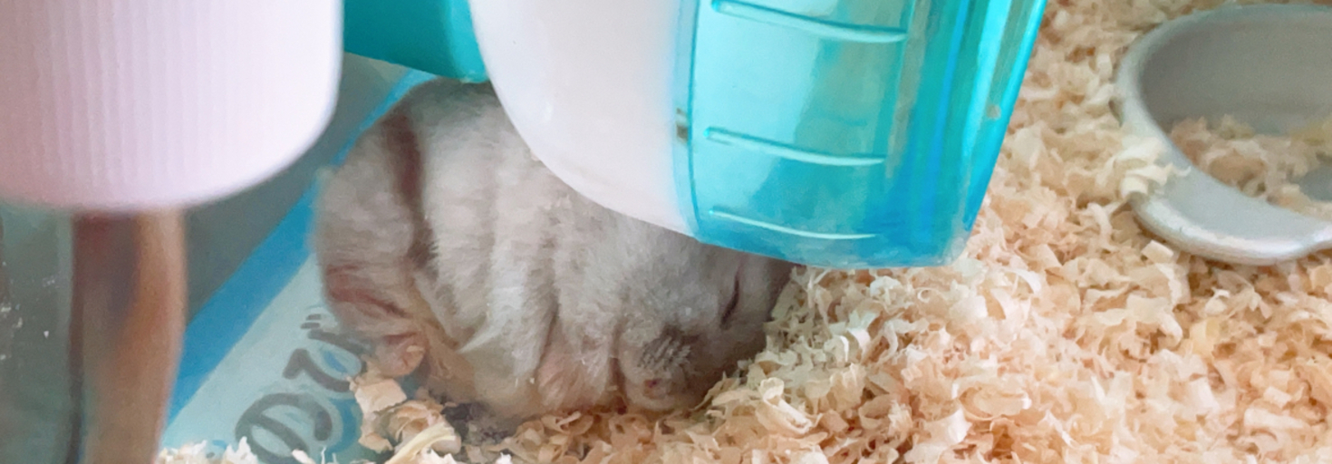 レビュアーのカバー画像