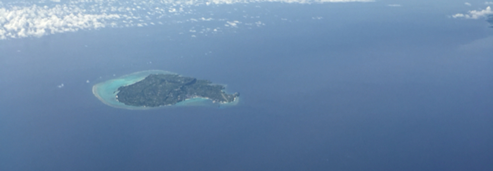 レビュアーのカバー画像