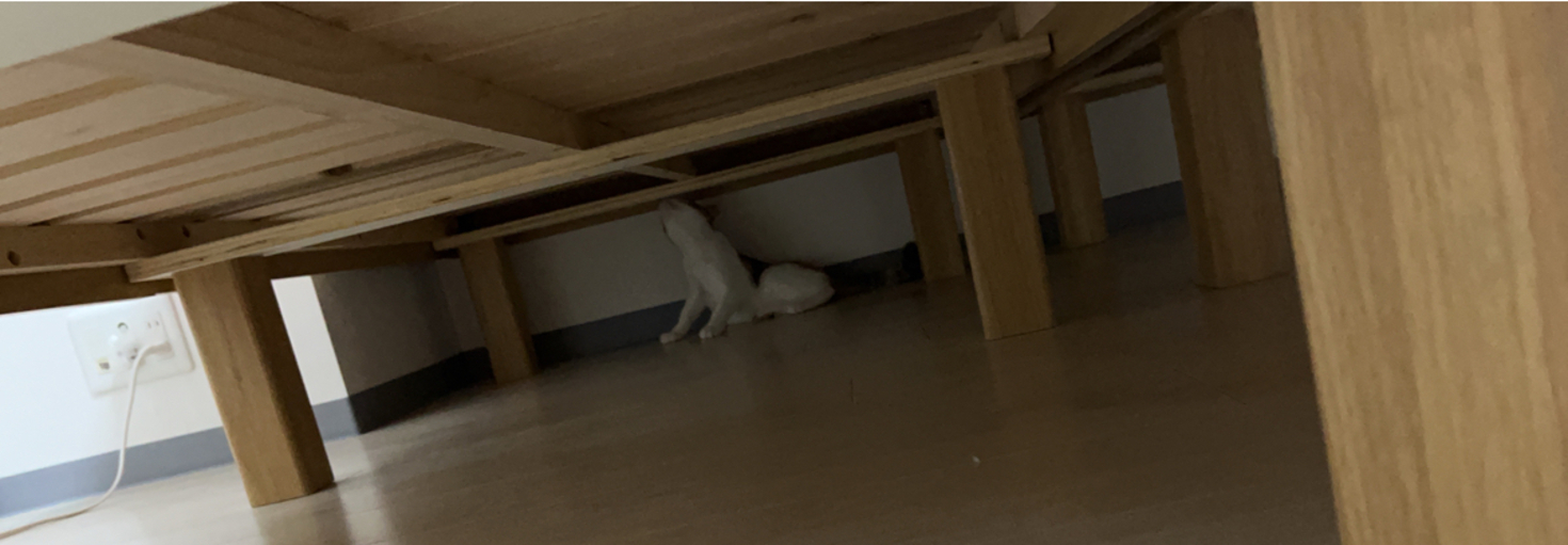 レビュアーのカバー画像