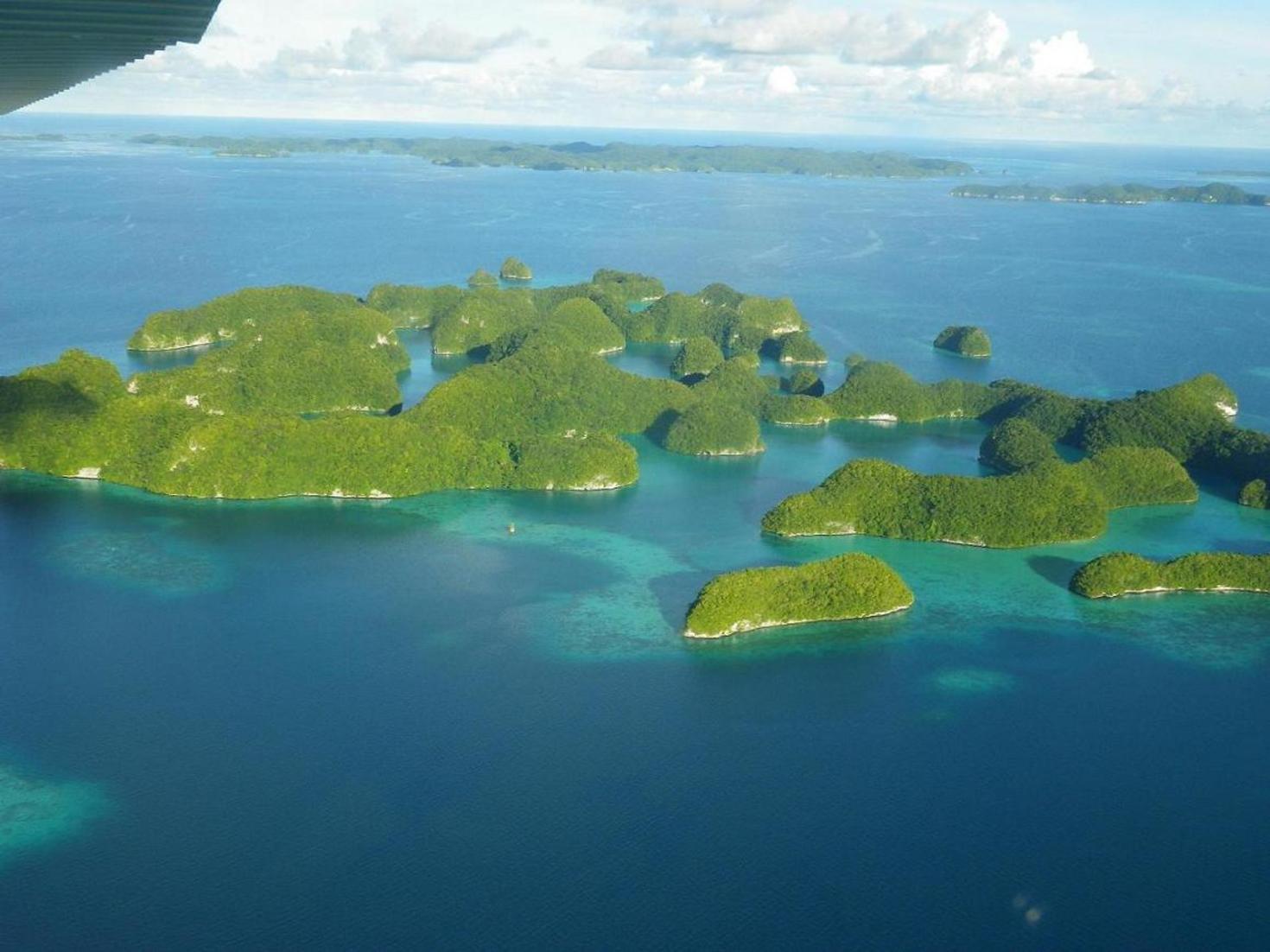 レビュアーのカバー画像