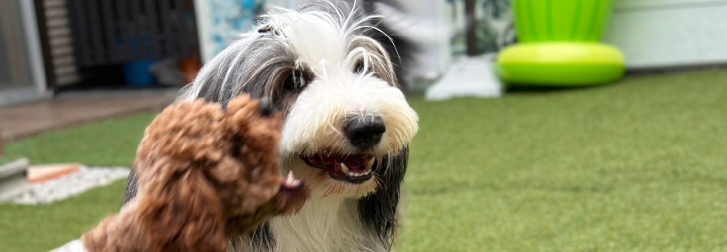 レビュアーのカバー画像