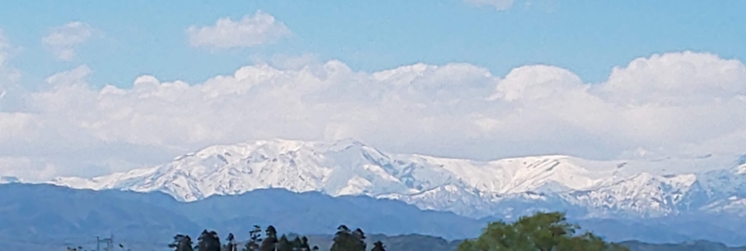 レビュアーのカバー画像