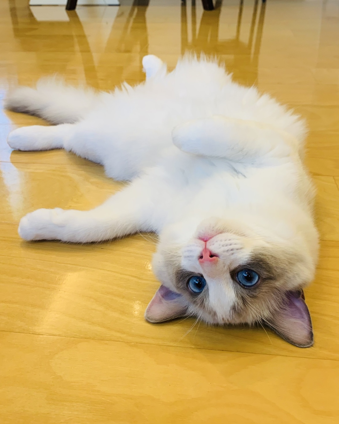 レビュアーのカバー画像