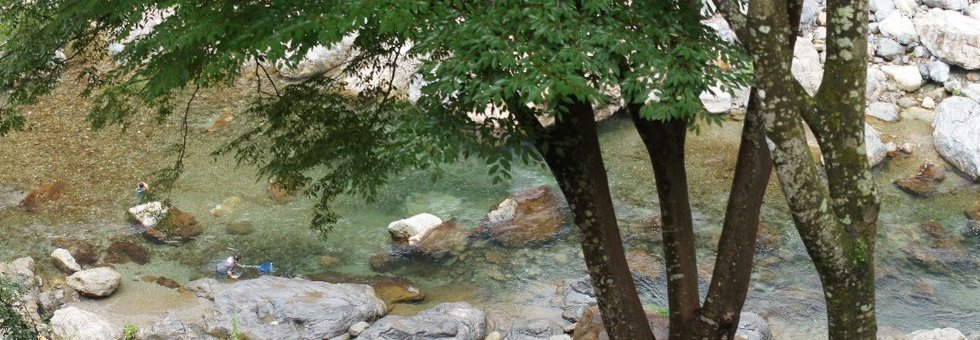 レビュアーのカバー画像