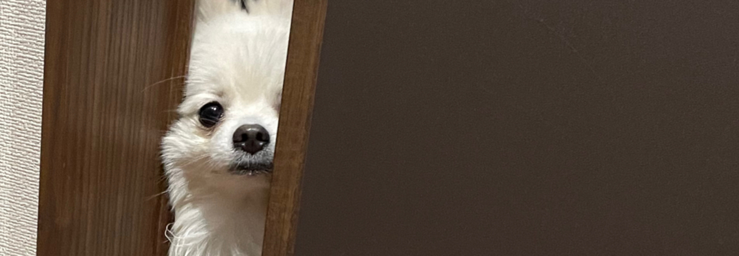 レビュアーのカバー画像