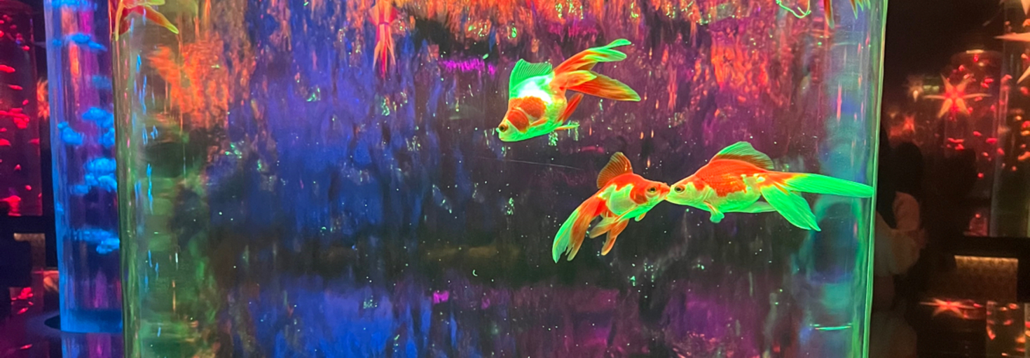 レビュアーのカバー画像