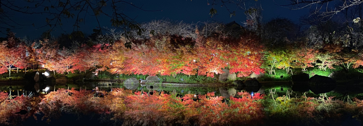 レビュアーのカバー画像