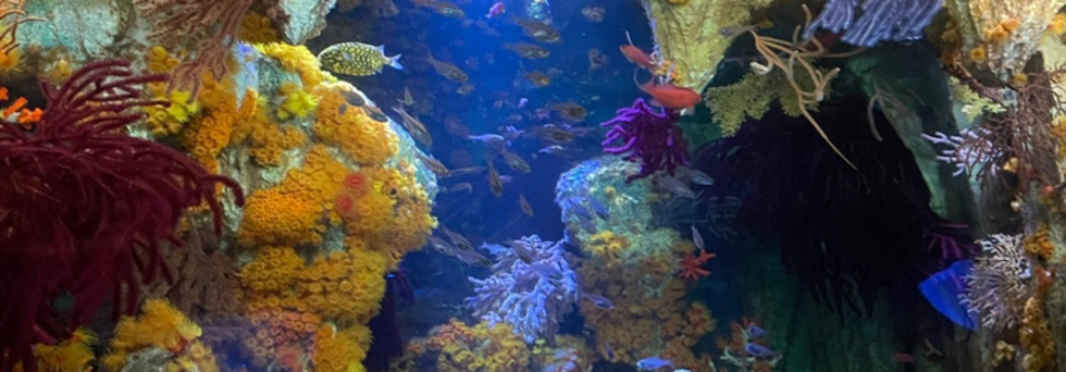 レビュアーのカバー画像