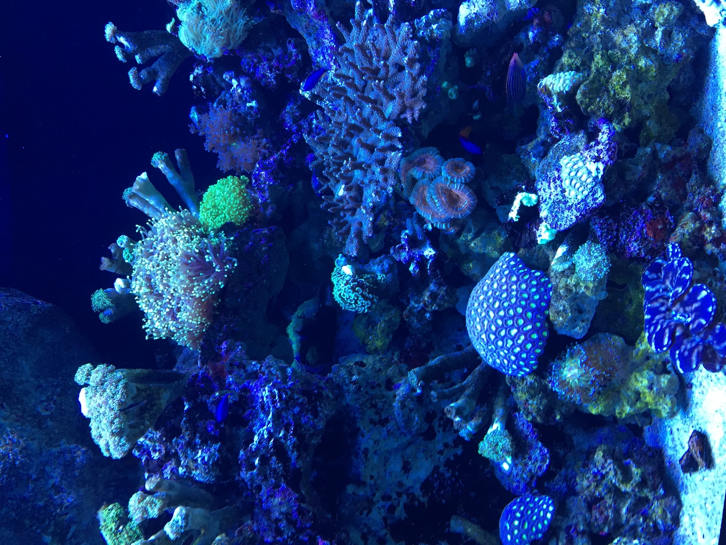 レビュアーのカバー画像