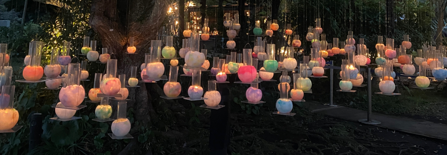 レビュアーのカバー画像