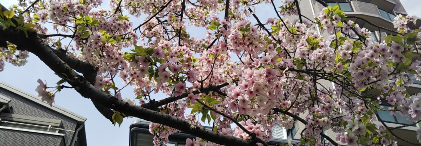 レビュアーのカバー画像