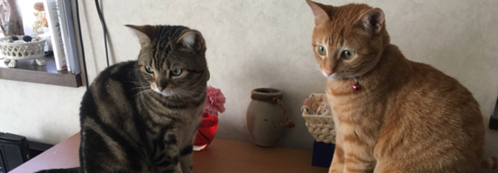 レビュアーのカバー画像