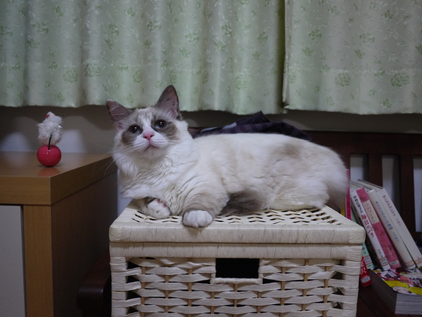 レビュアーのカバー画像