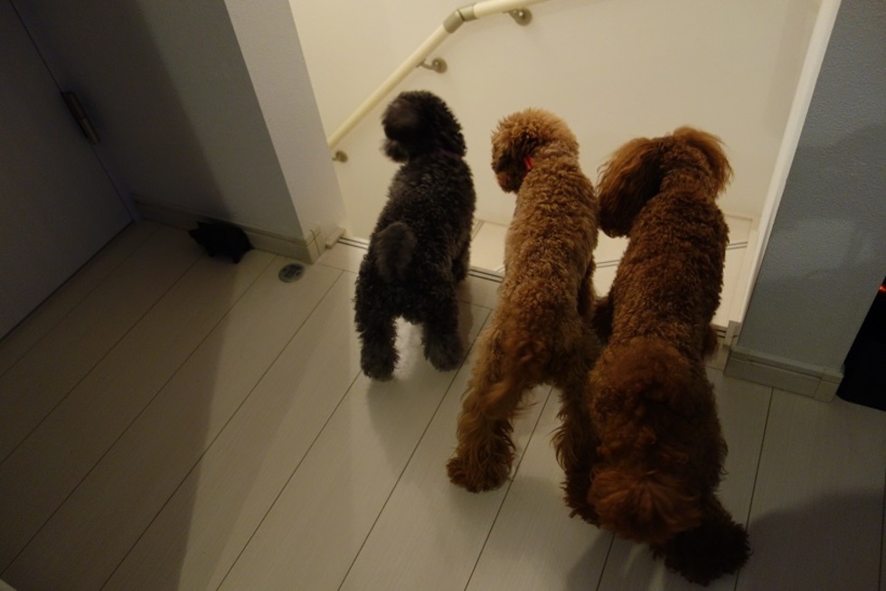 レビュアーのカバー画像