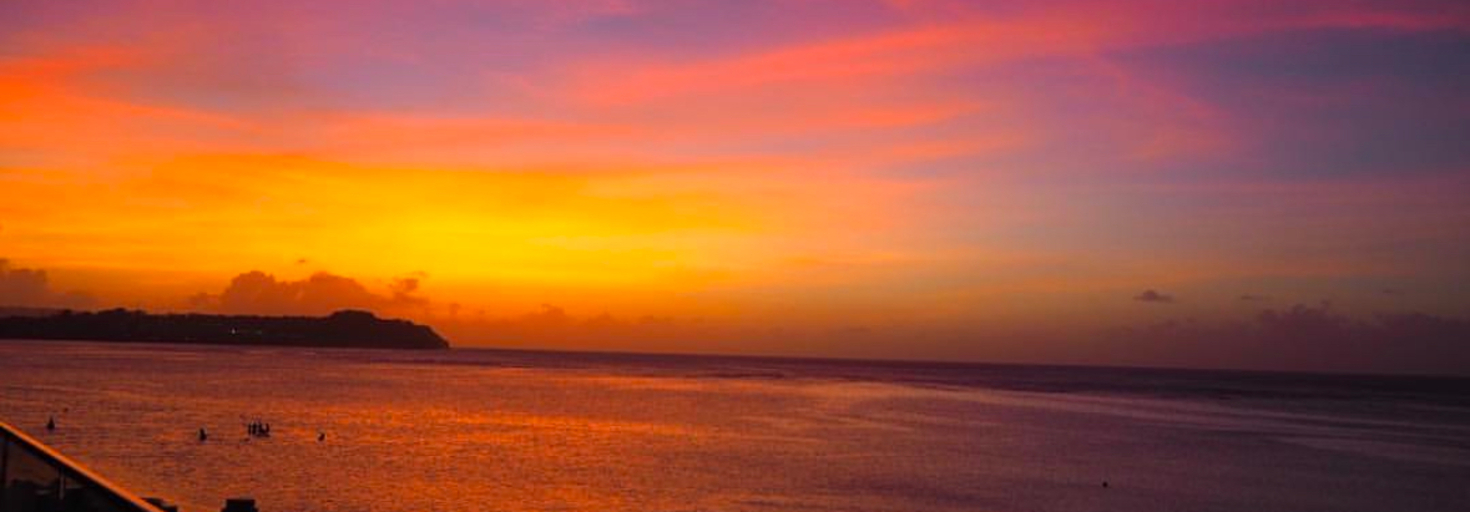 レビュアーのカバー画像