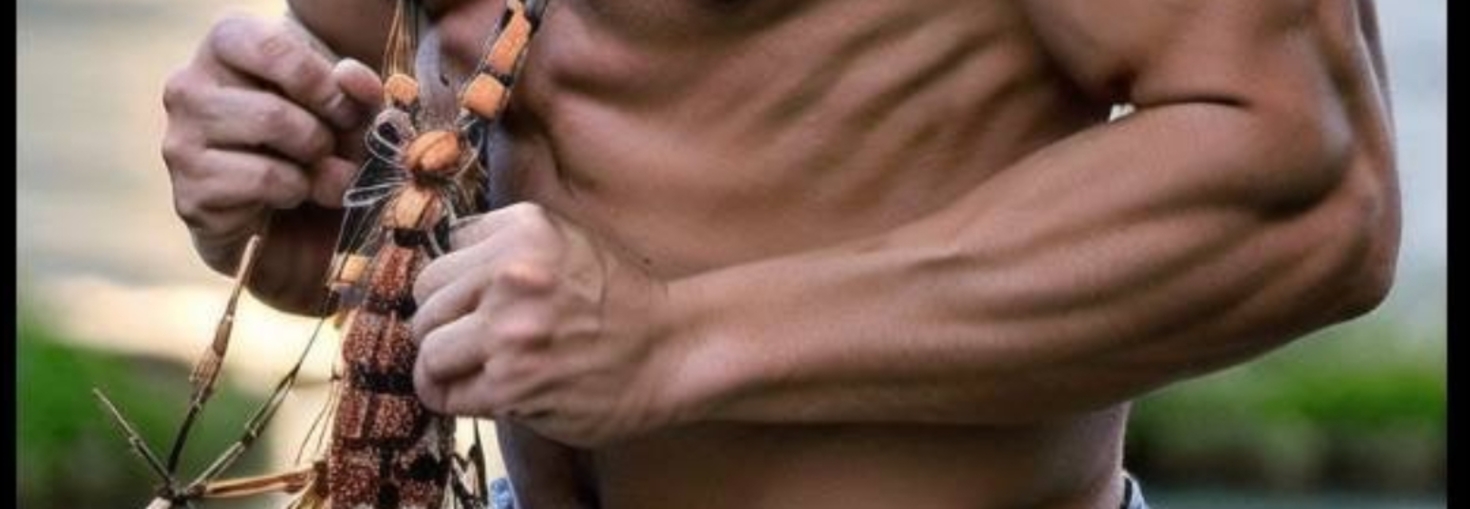 レビュアーのカバー画像