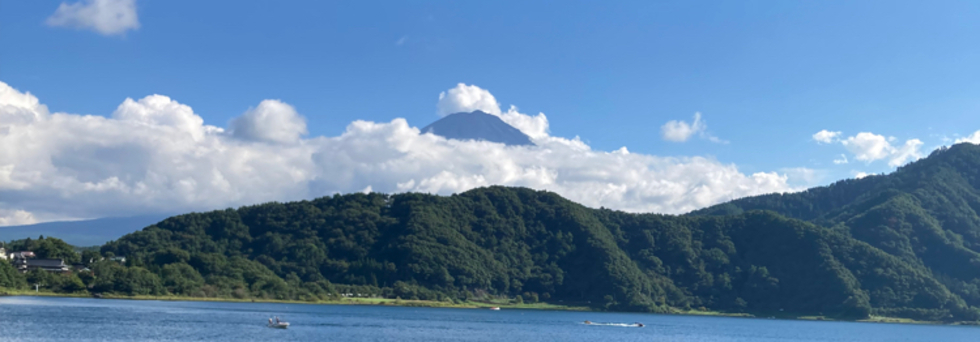 レビュアーのカバー画像