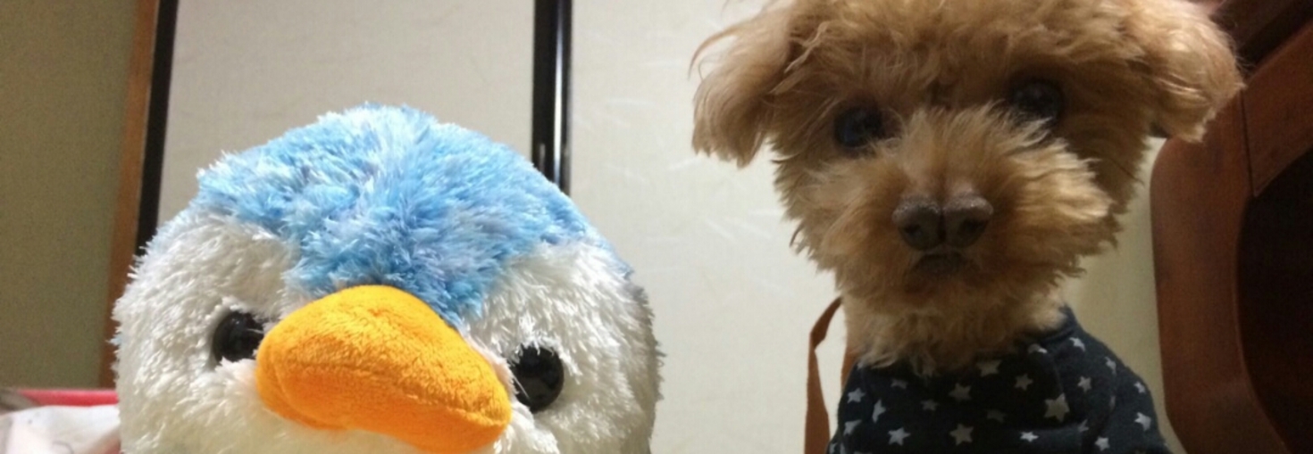 レビュアーのカバー画像