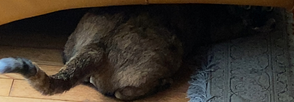 レビュアーのカバー画像