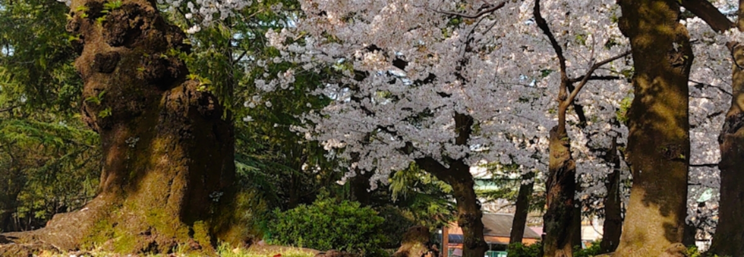 レビュアーのカバー画像