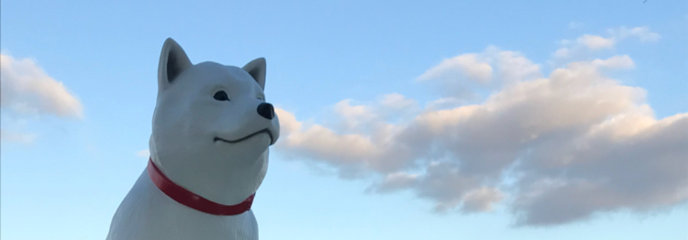 レビュアーのカバー画像