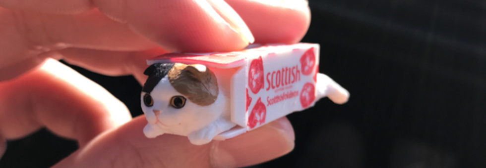 レビュアーのカバー画像