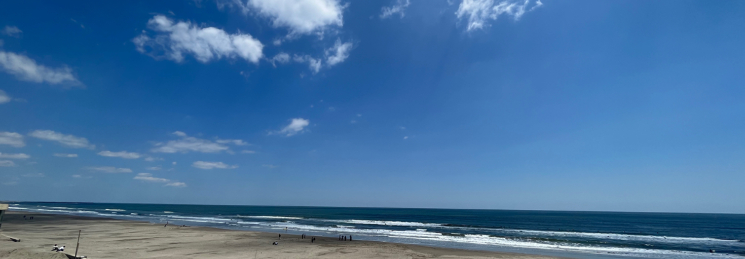 レビュアーのカバー画像