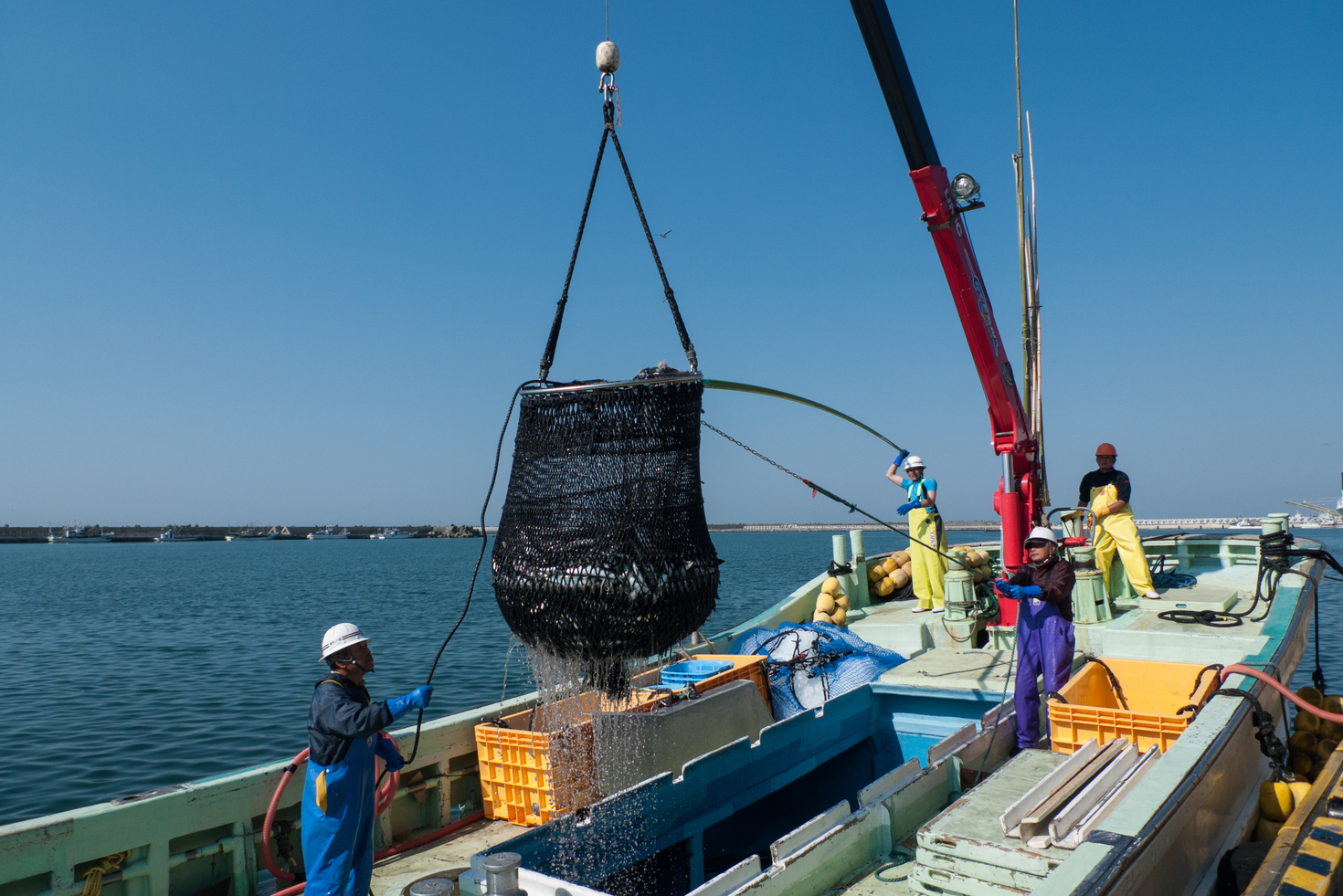 レビュアーのカバー画像