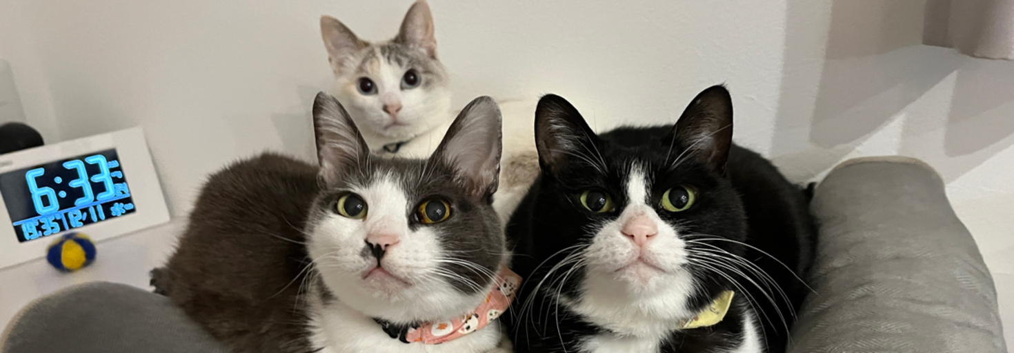 レビュアーのカバー画像