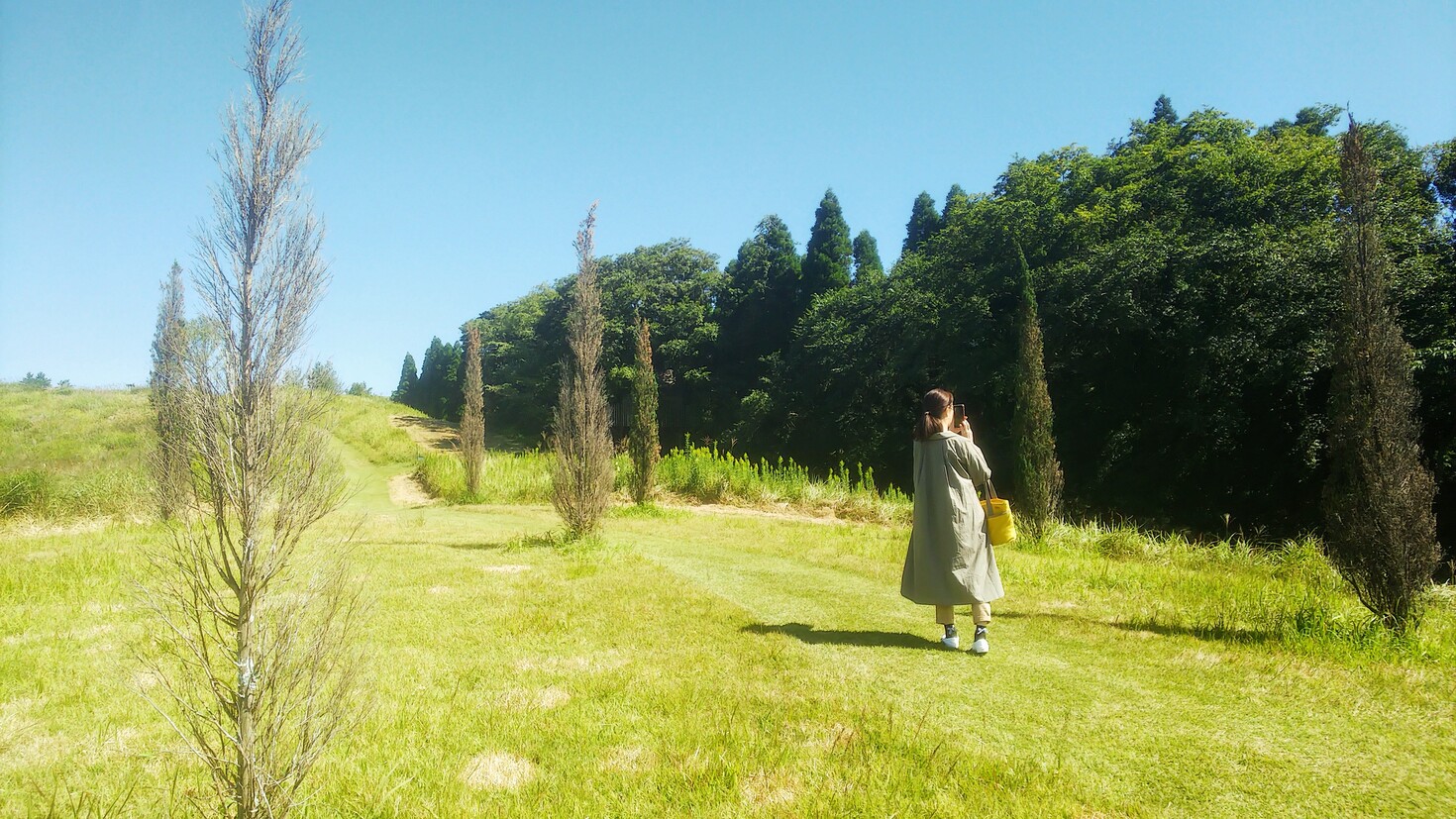 レビュアーのカバー画像