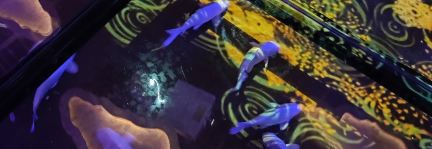 レビュアーのカバー画像