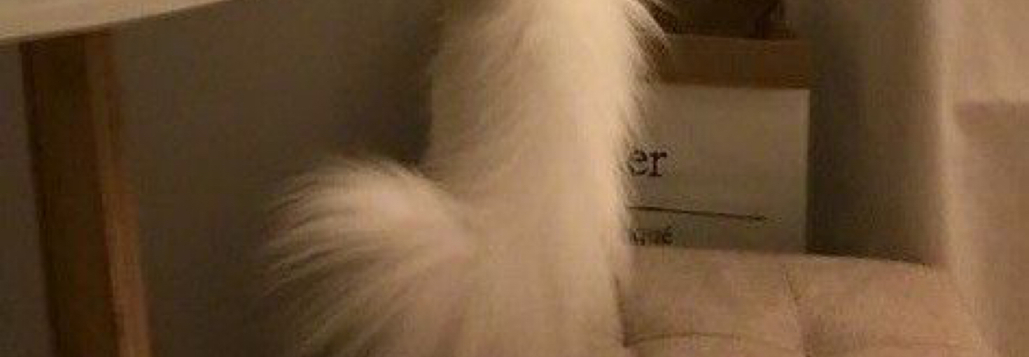 レビュアーのカバー画像