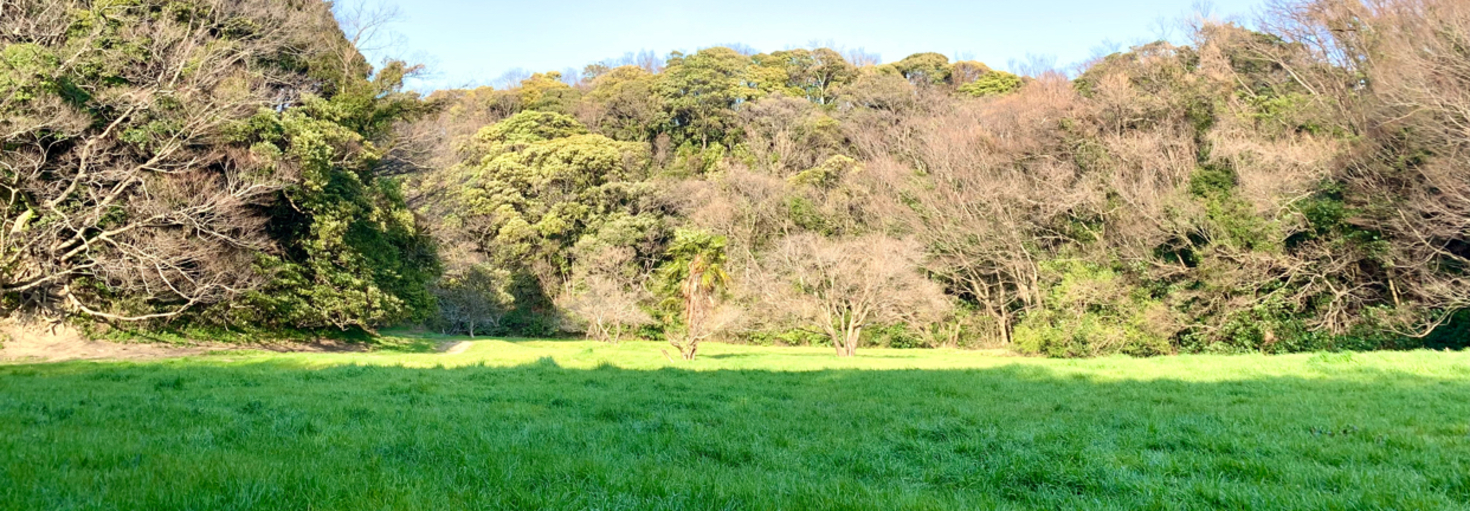 レビュアーのカバー画像