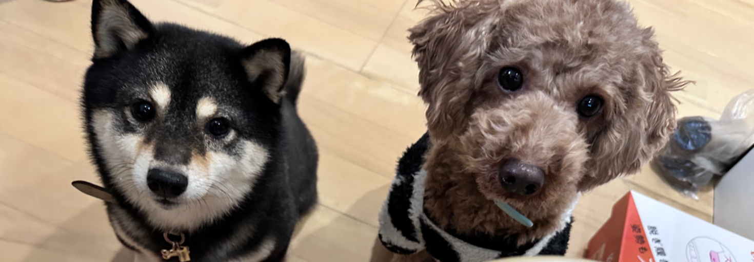 レビュアーのカバー画像