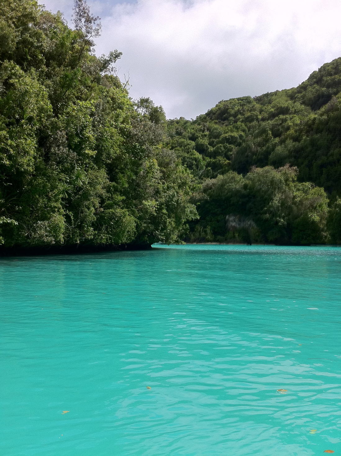 レビュアーのカバー画像