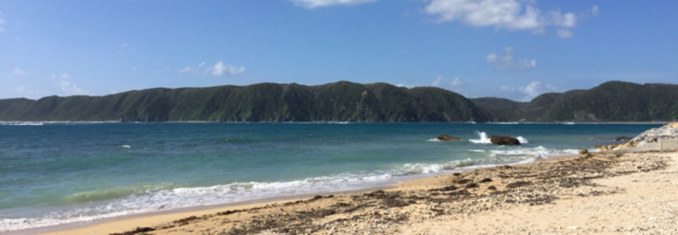 レビュアーのカバー画像