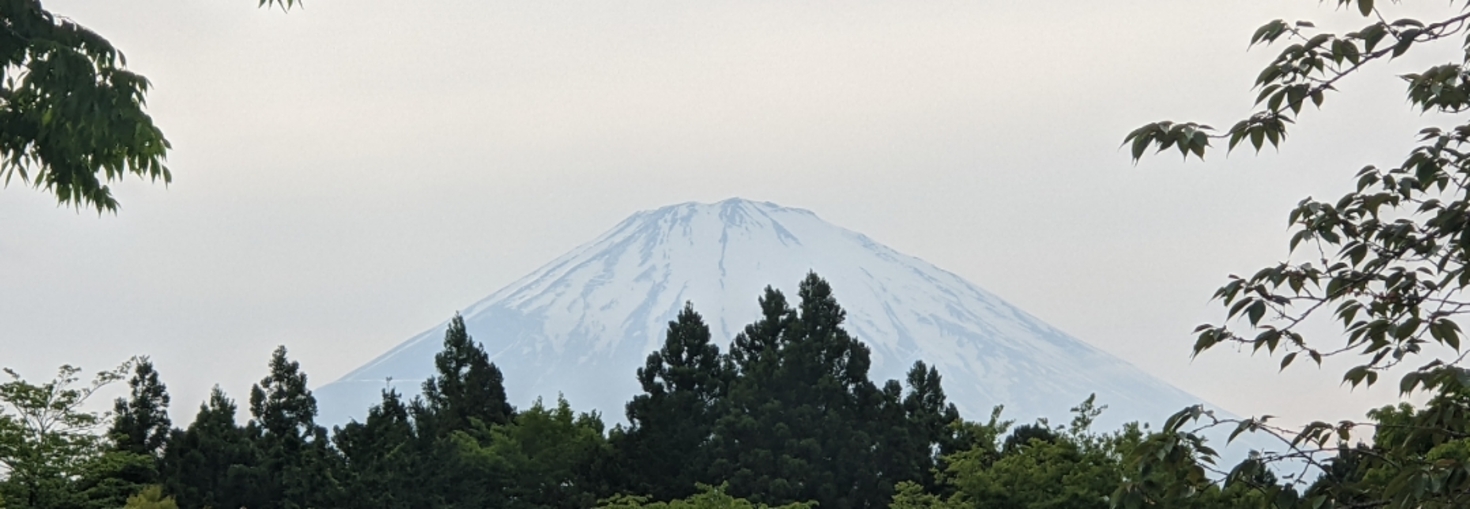 レビュアーのカバー画像