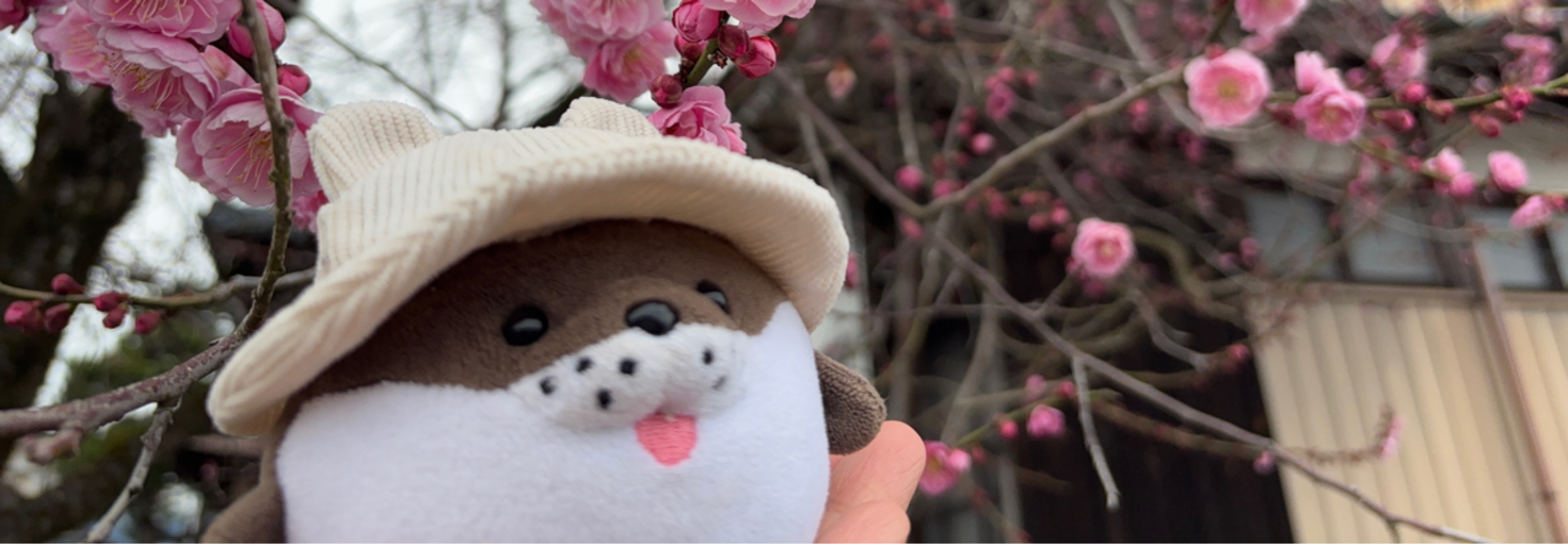 レビュアーのカバー画像