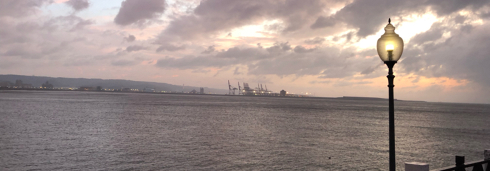 レビュアーのカバー画像