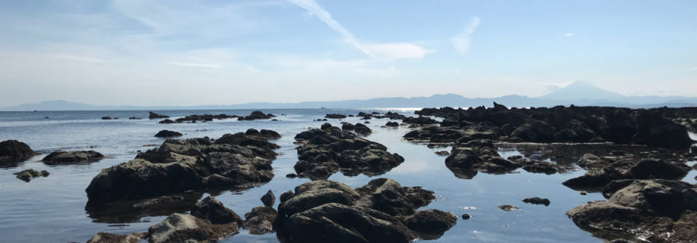 レビュアーのカバー画像