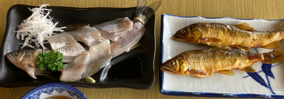 レビュアーのカバー画像