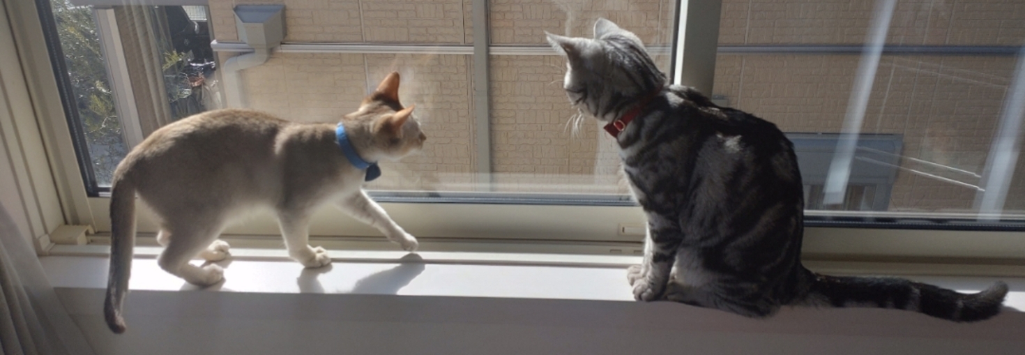 レビュアーのカバー画像