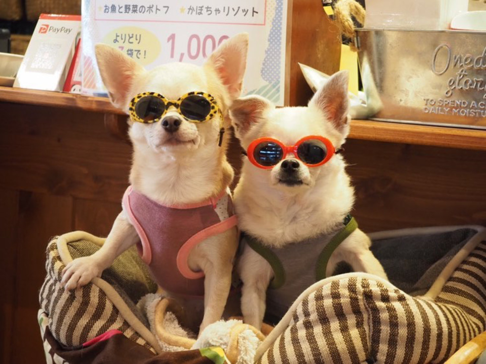 レビュアーのカバー画像