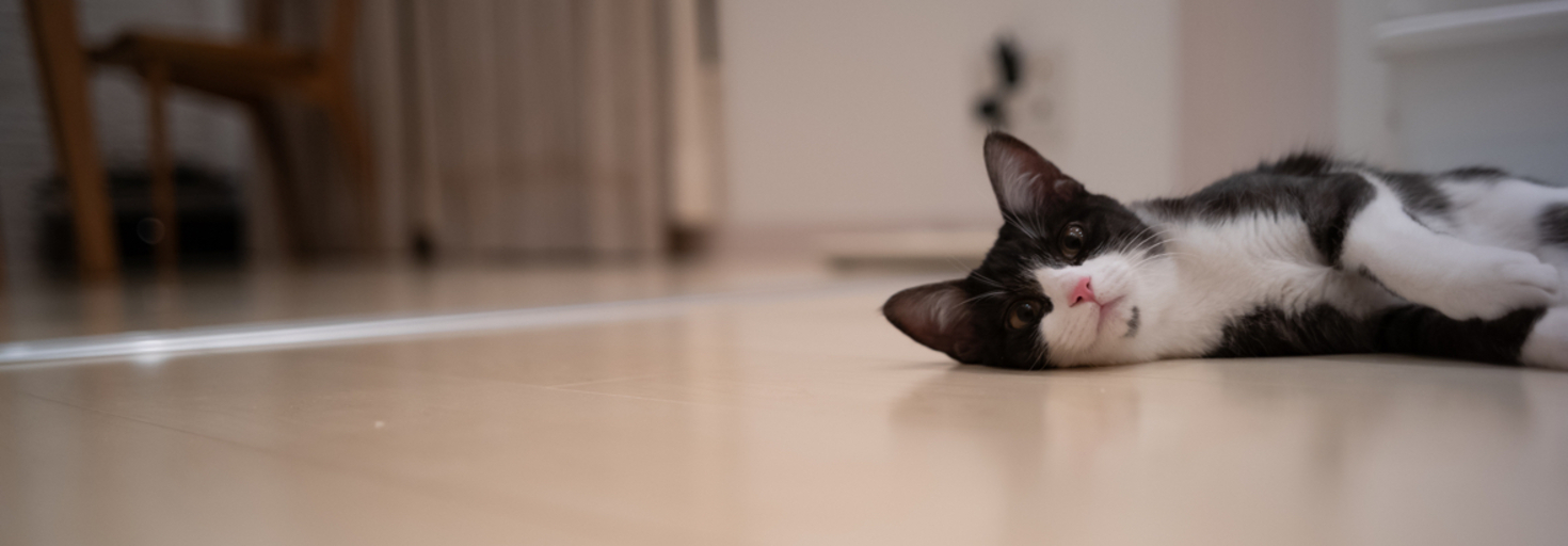 レビュアーのカバー画像