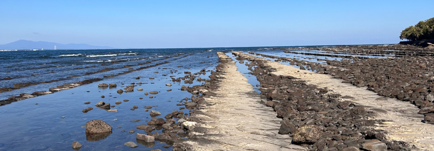 レビュアーのカバー画像